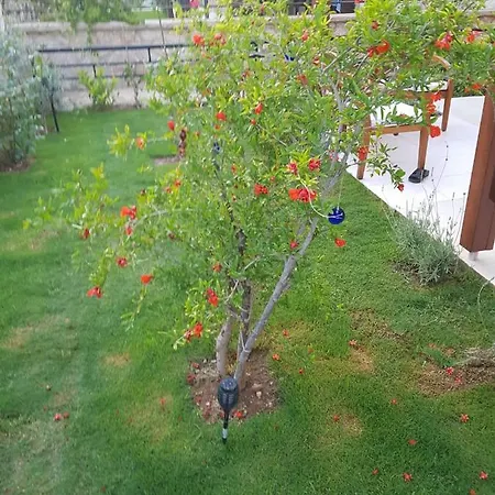 Pleasant House Surrounded By Calming Nature In Lovely דירה *